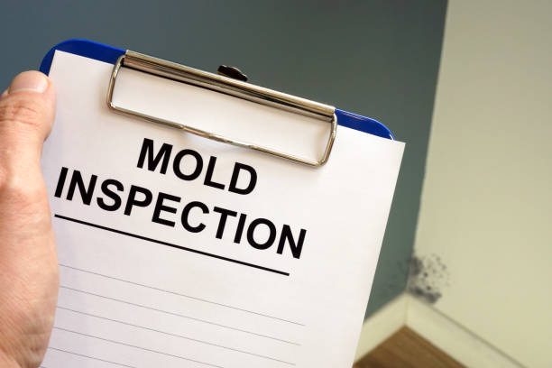 Best Mold Odor Removal Services  in Lyons, NJ